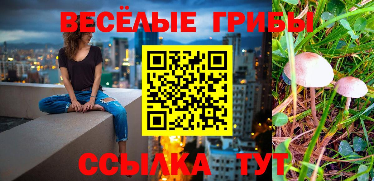 Калуга  Псилоцибиновые грибы Magic Shrooms  Вход с VPN 
